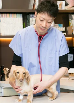 浦安の動物病院 ヴィアーレ動物病院のご挨拶