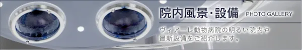 ヴィアーレ動物病院の院内風景・設備