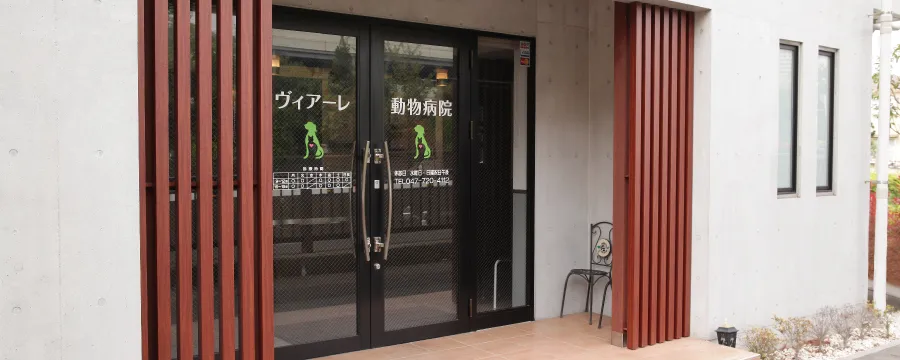浦安市の動物病院ヴィアーレ動物病院