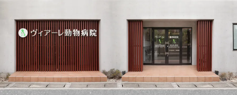 心不全や不整脈などの循環器疾患の診断および治療に特に力を入れています