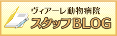 ヴィアーレ動物病院のブログ