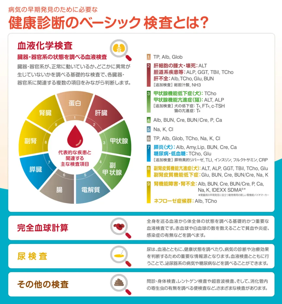 浦安の動物病院「ヴィアーレ動物病院」の病気の早期発見のために必要な健康診断のベーシック検査